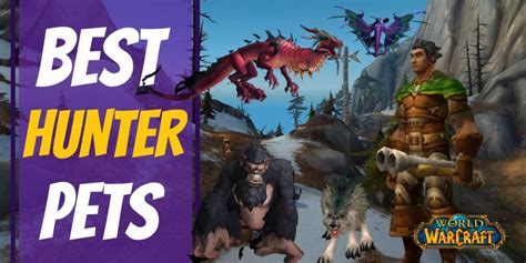 best wow pets hunter|wow best ferocity pets.